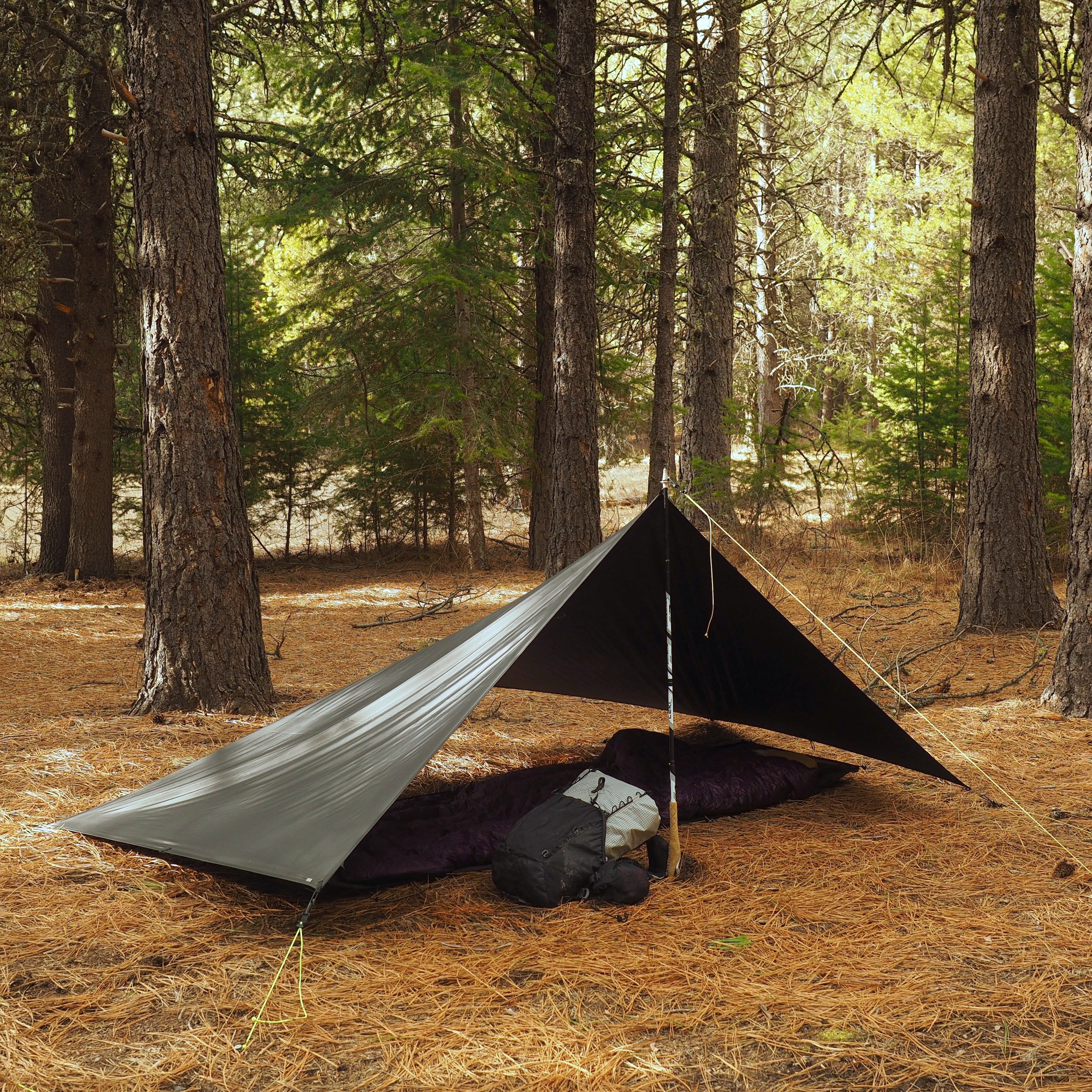 6' x 9' Tarp